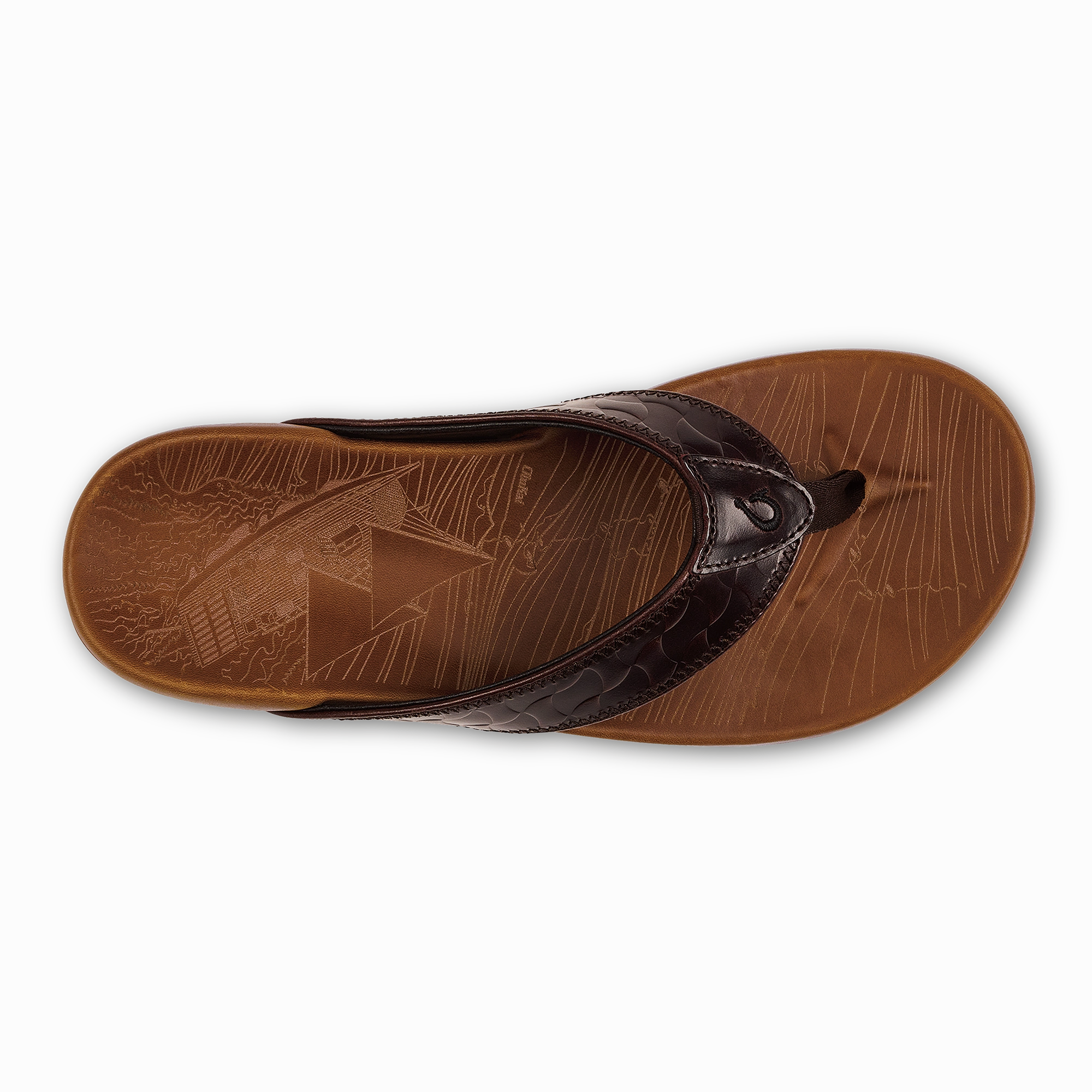 Hikianalia  -  Dark Java / Tan