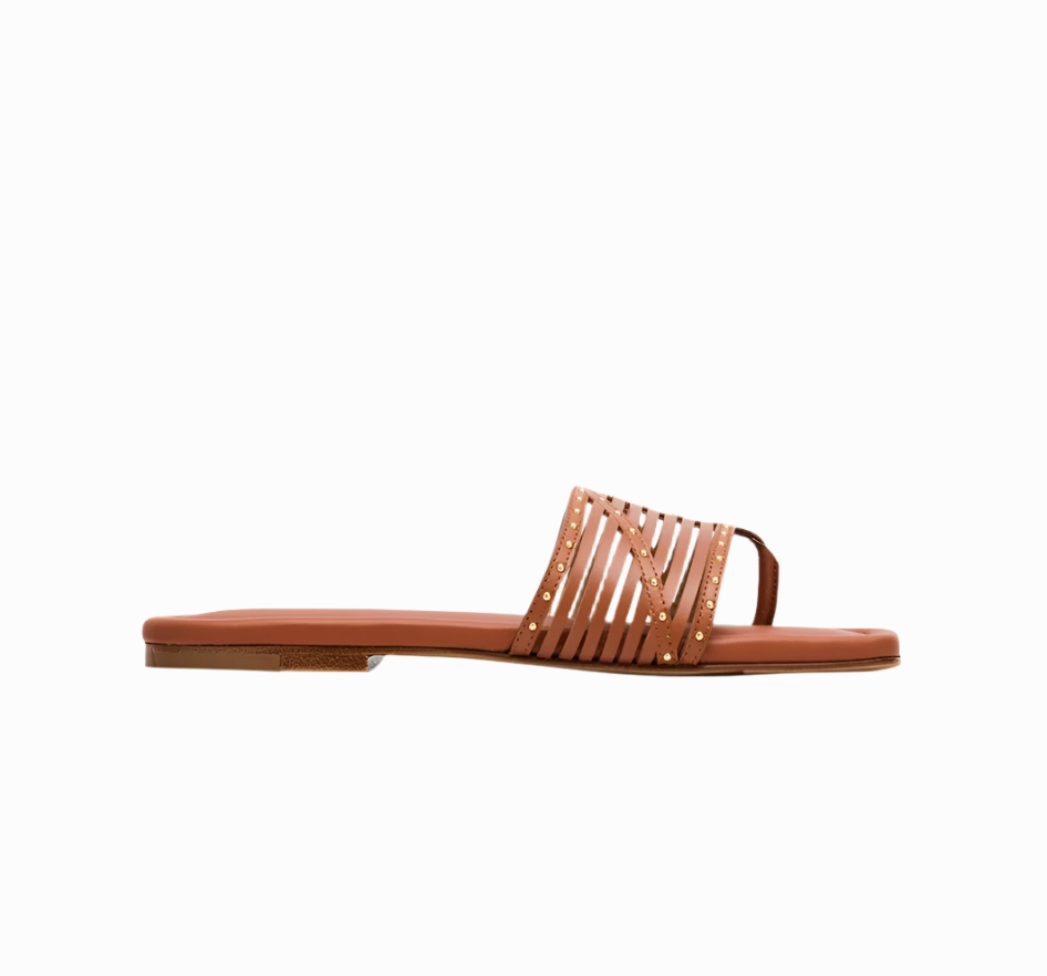 Naomi Sandal